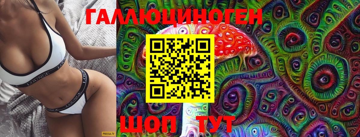 Галлюциногенные грибы Cubensis  Псилоцибиновые грибы Psilocybine cubensis  Вход с VPN  Полысаево 